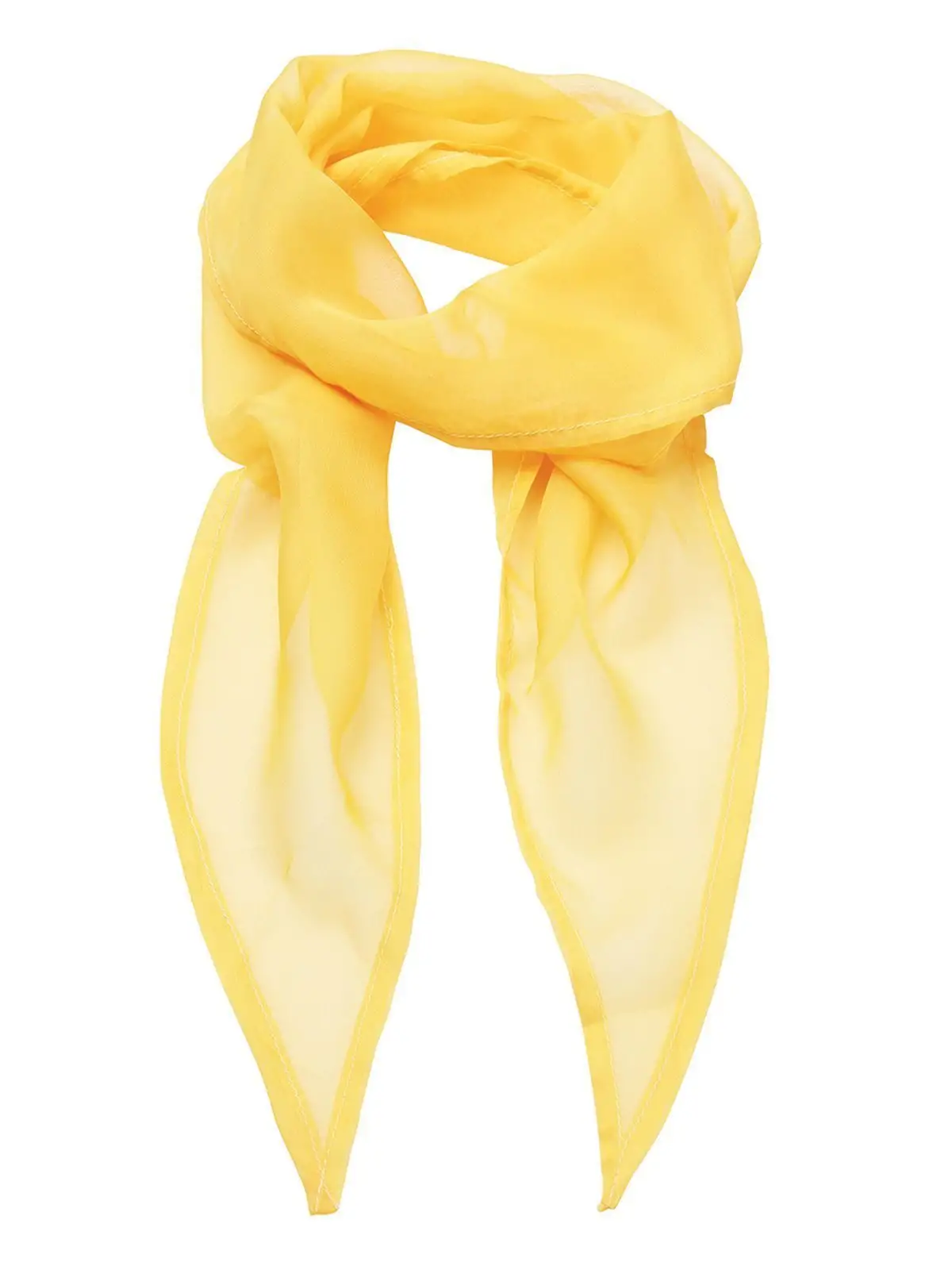 Ladies Chiffon Scarf