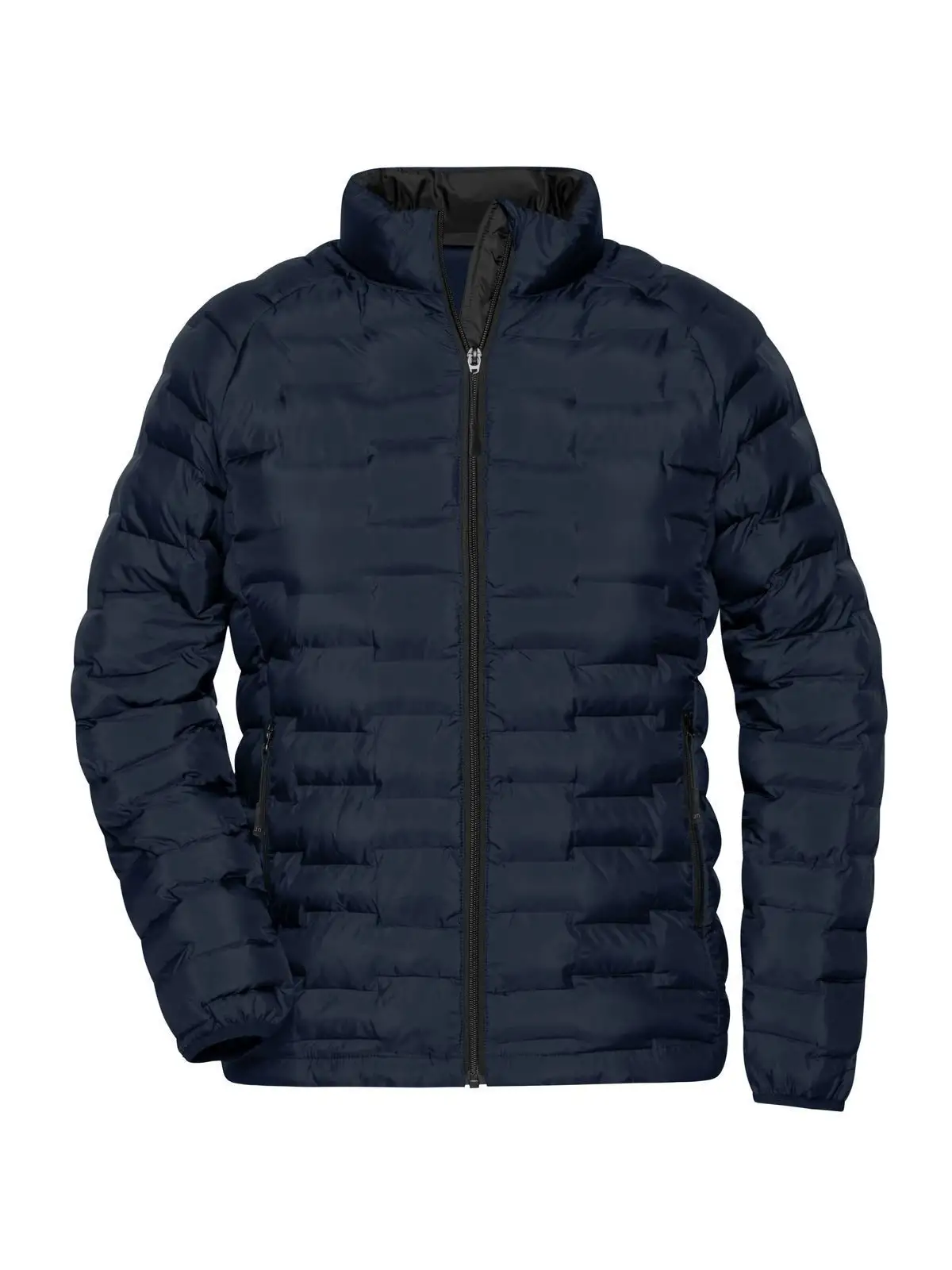 Ladies' Modern Padded Jacket