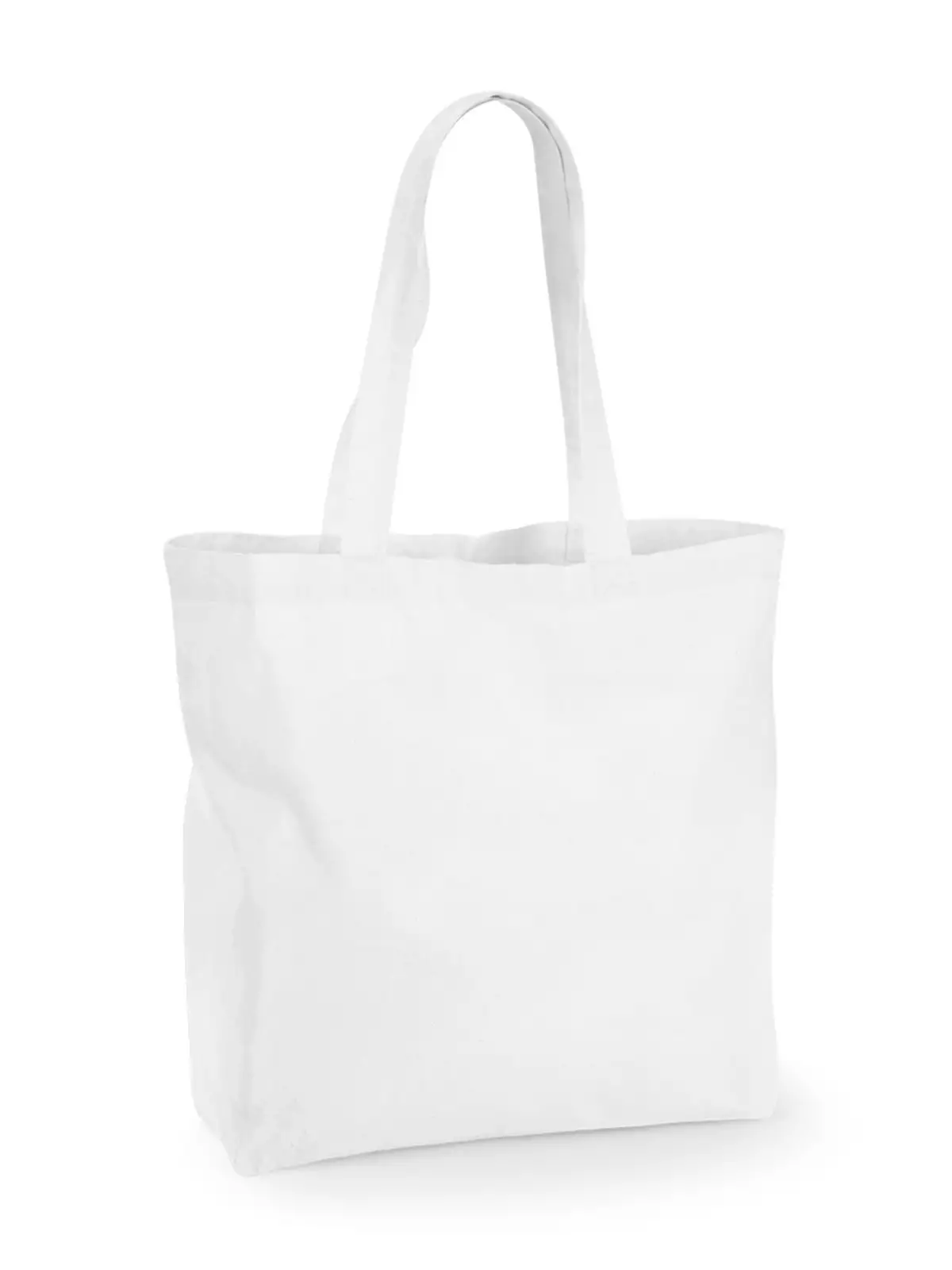 Maxi Bag for Life