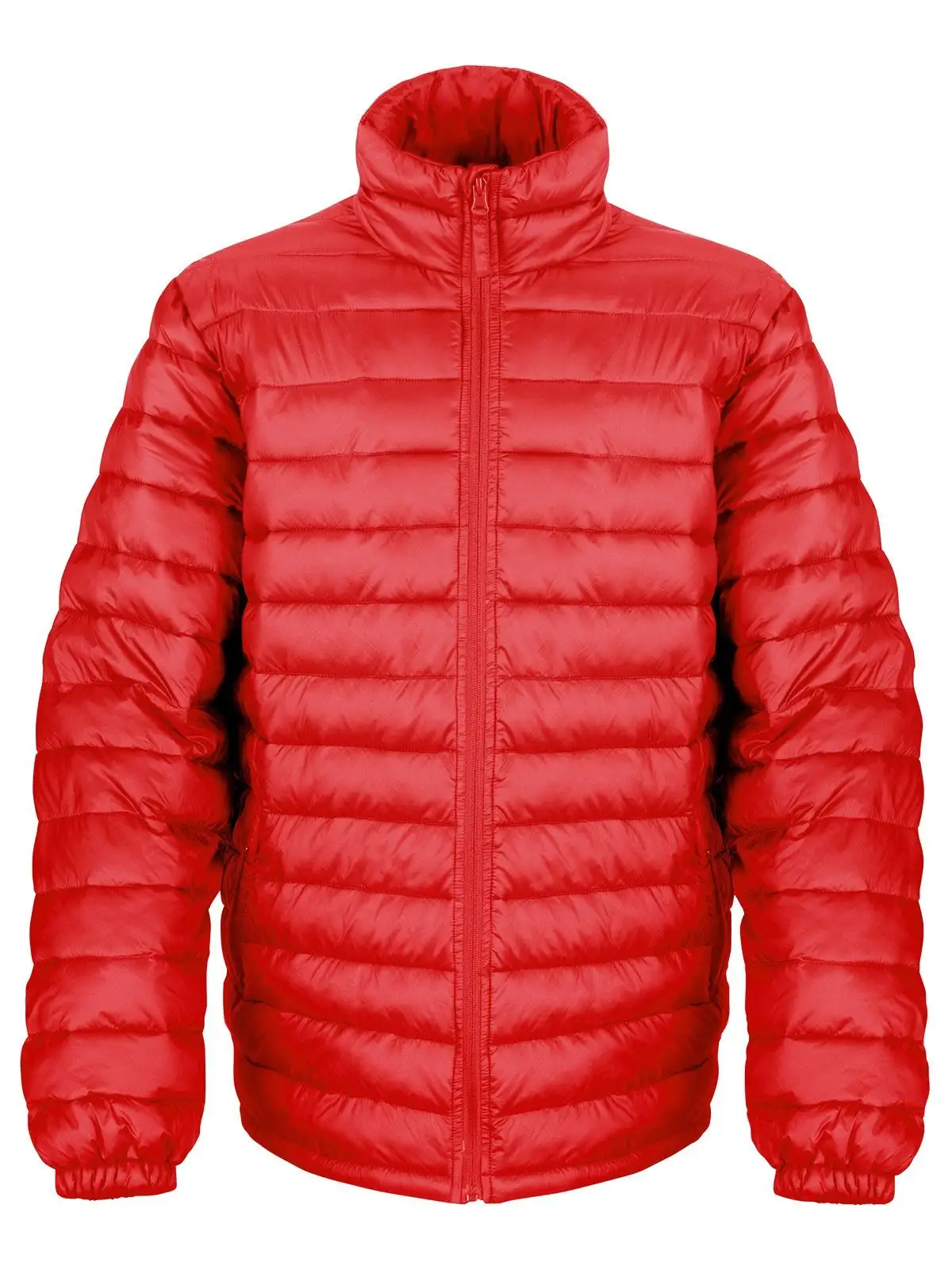 Mens Ice Bird Padded Jacket