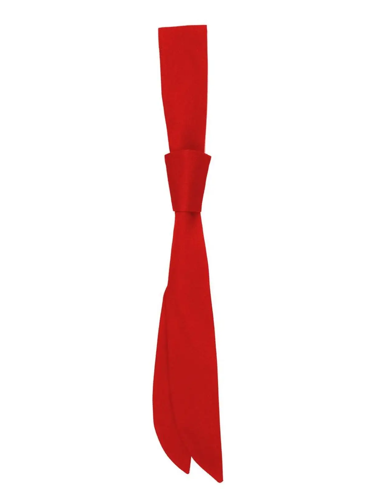 Service Tie 94 x 5 cm