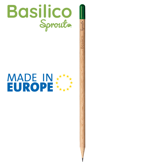 Basilico