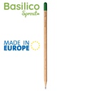 Basilico