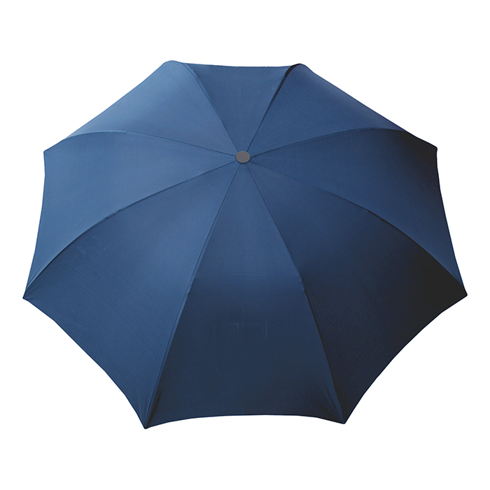 Brolly