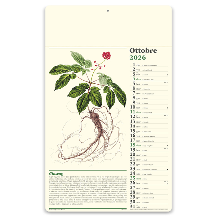 Erboristeria