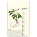 Erboristeria
