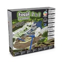 2 in 1 Fossil Excavation Kit I. Gioco educativo per bambini