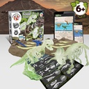 2 in 1 Fossil Excavation Kit I. Gioco educativo per bambini