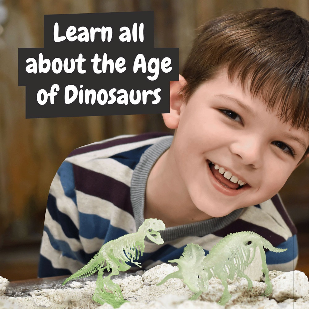 2 in 1 Fossil Excavation Kit I. Gioco educativo per bambini