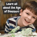 2 in 1 Fossil Excavation Kit I. Gioco educativo per bambini