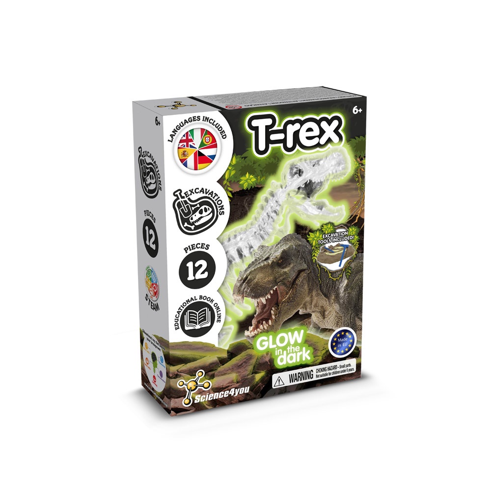 Fossil Excavation Kit I. Gioco educativo per bambini
