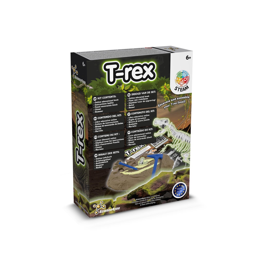 Fossil Excavation Kit I. Gioco educativo per bambini