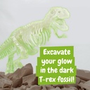 Fossil Excavation Kit I. Gioco educativo per bambini