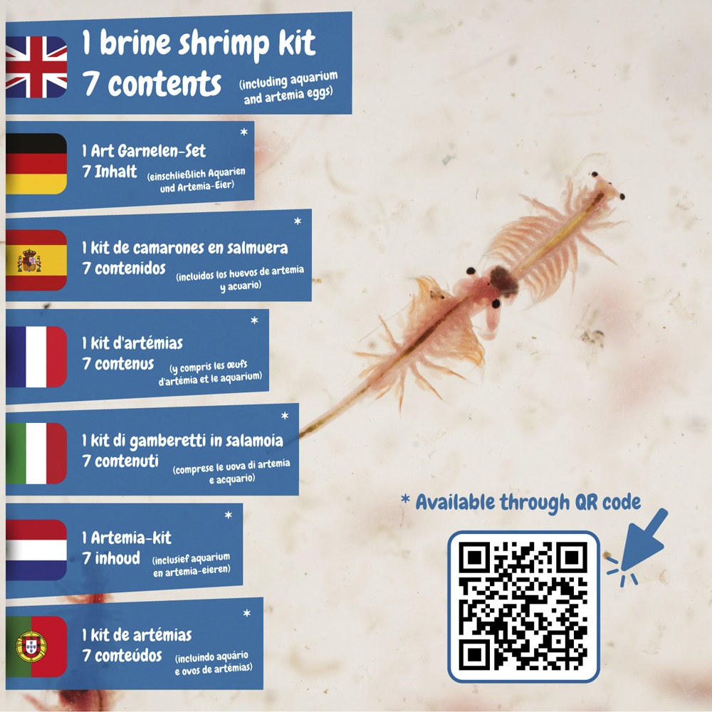 Jurassic Pets Kit I. Gioco educativo per bambini