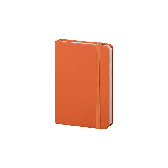 Mini Pu Notes