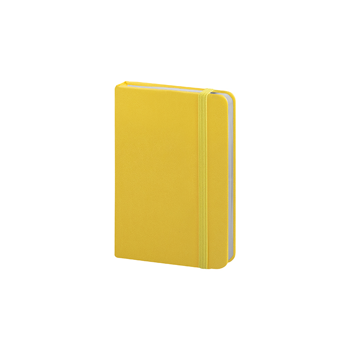 Mini Pu Notes