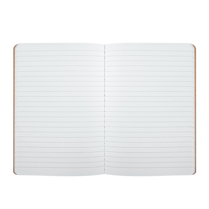 Notes A Righe