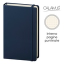 Notes Calamus