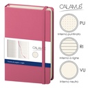 Notes Calamus