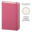 Notes Calamus