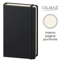 Notes Calamus