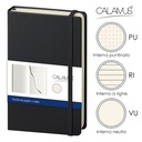 Notes Calamus