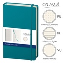Notes Calamus