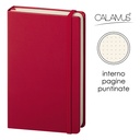 Notes Calamus