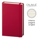 Notes Calamus