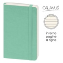Notes Calamus