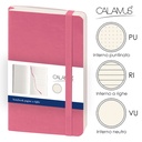 Notes Calamus
