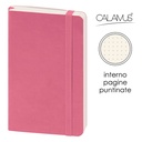 Notes Calamus