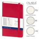 Notes Calamus