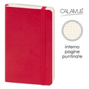 Notes Calamus