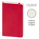 Notes Calamus