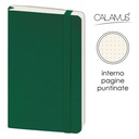 Notes Calamus