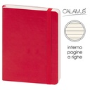 Notes Maxi Calamus