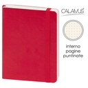 Notes Maxi Calamus