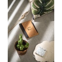 VICENTE. Block notes B6 con penna a sfera in sughero e poliestere riciclato (100% rPET)