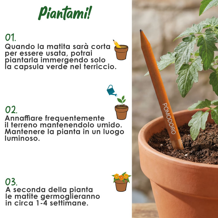 Piantami
