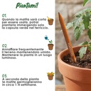 Piantami