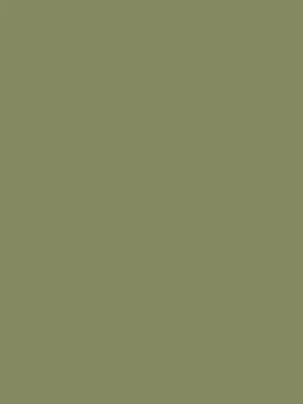 soft olive