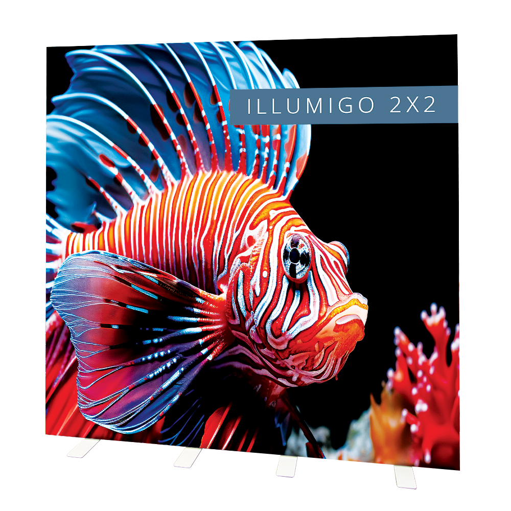 Illumigo 2X2