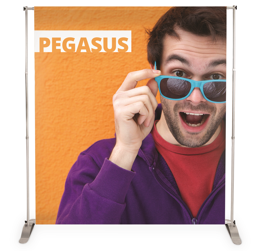 Pegasus