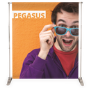 Pegasus