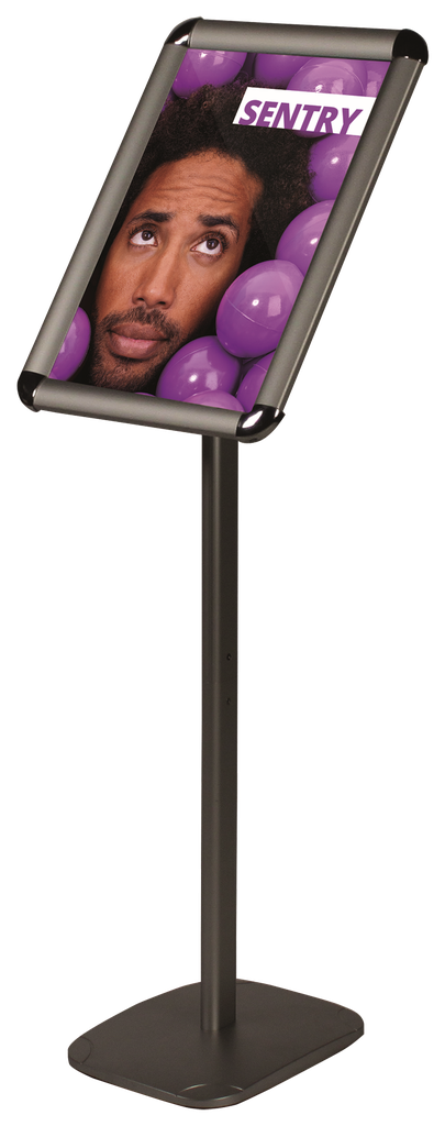 Sentry