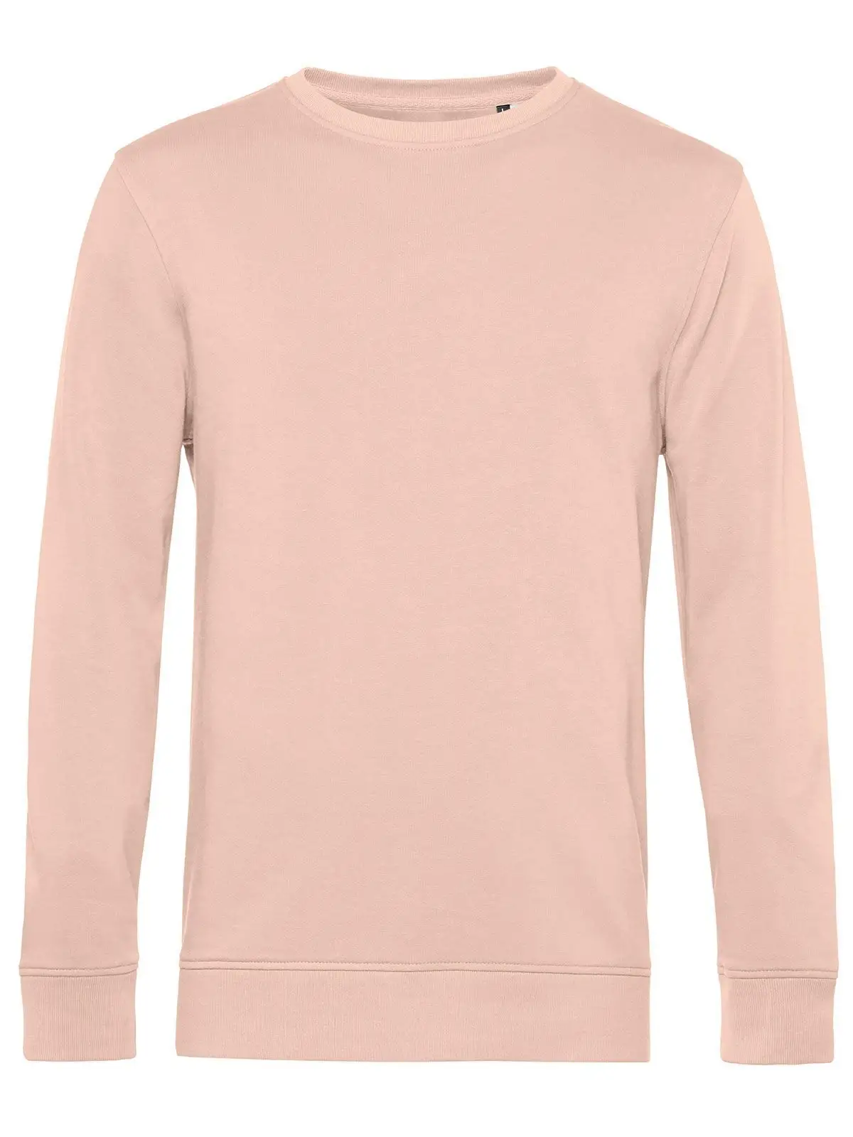 soft rose