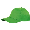 Verde Lime