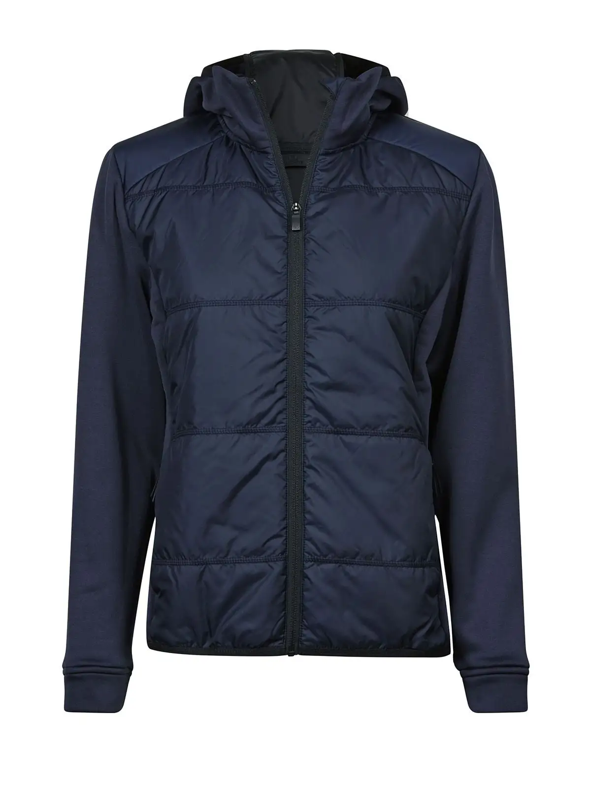 navy/navy