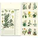 Erboristeria